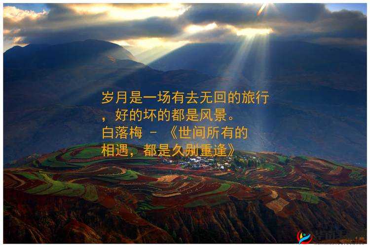 后营露营无增减相濡以沫：携手走过岁月的温馨之旅