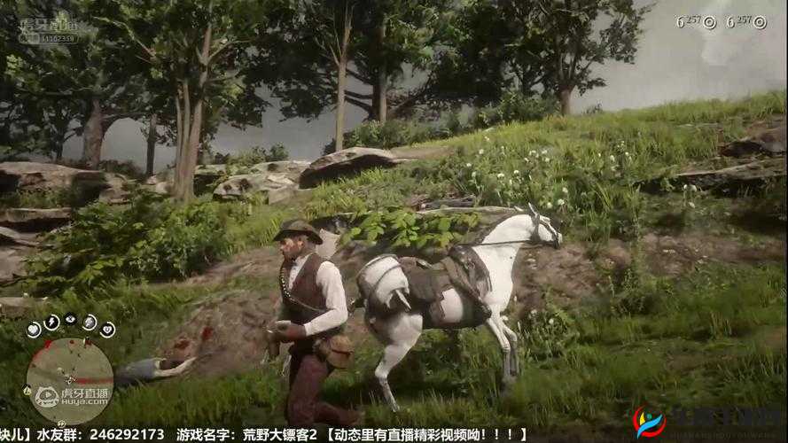 公园里的老年镖客视频大全:镖客风采,别样人生