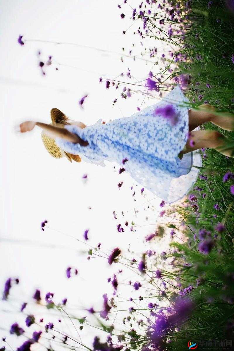 森林少女意大利满天星:梦幻花海中的精灵