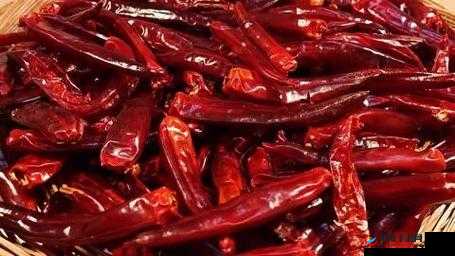 成品大香伊煮和小辣椒在内容呈现方面有何特点