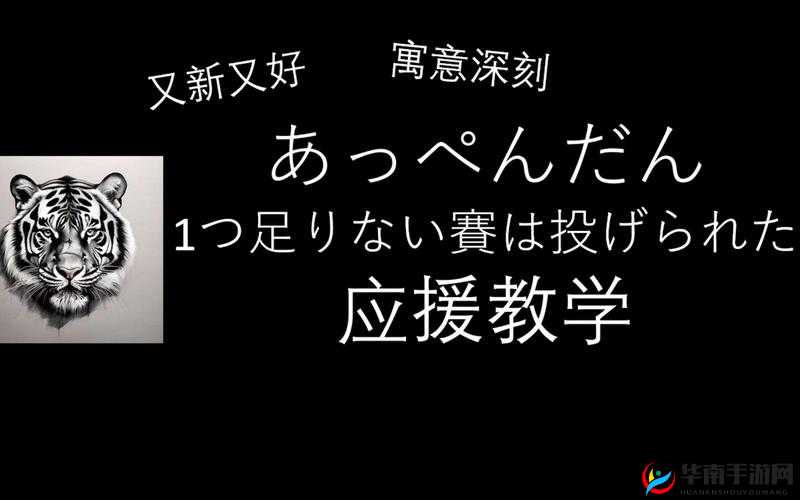 足のごめんはありません：关于足部无需抱歉的探讨