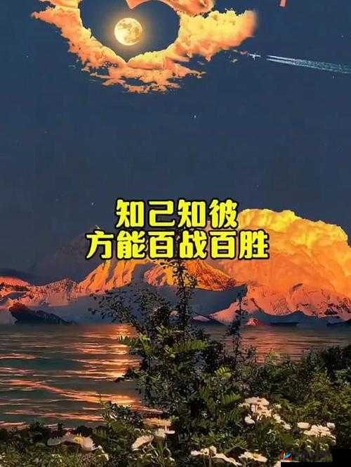 世界之战深度剖析,战报里的智慧,知己知彼方能百战百胜