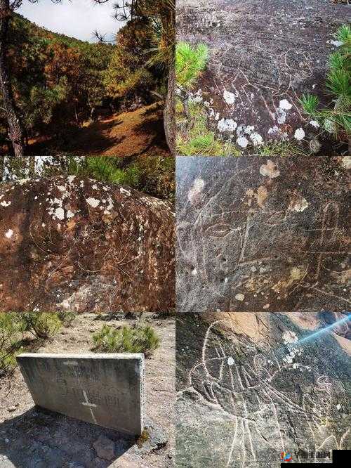 四川一级特色 BBBB：探寻其独特魅力与历史文化