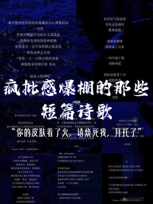 大巴车轮轩诗歌摘抄：黑夜给了我黑色的眼睛，我却用它寻找光明