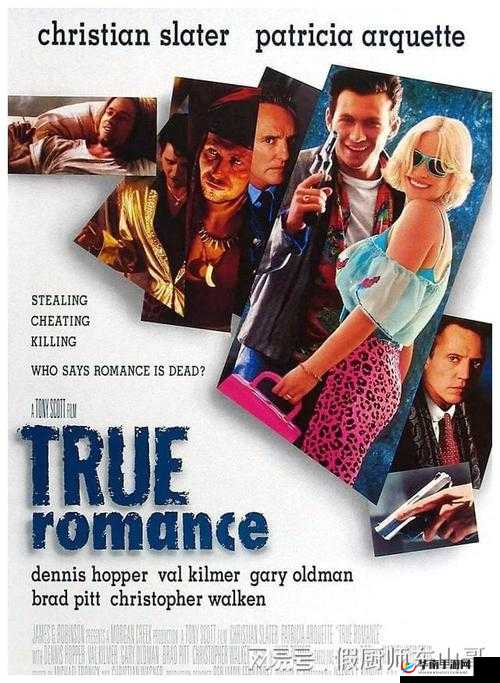 51 成人免费 a 片毛片无码：刺激感官的视觉盛宴