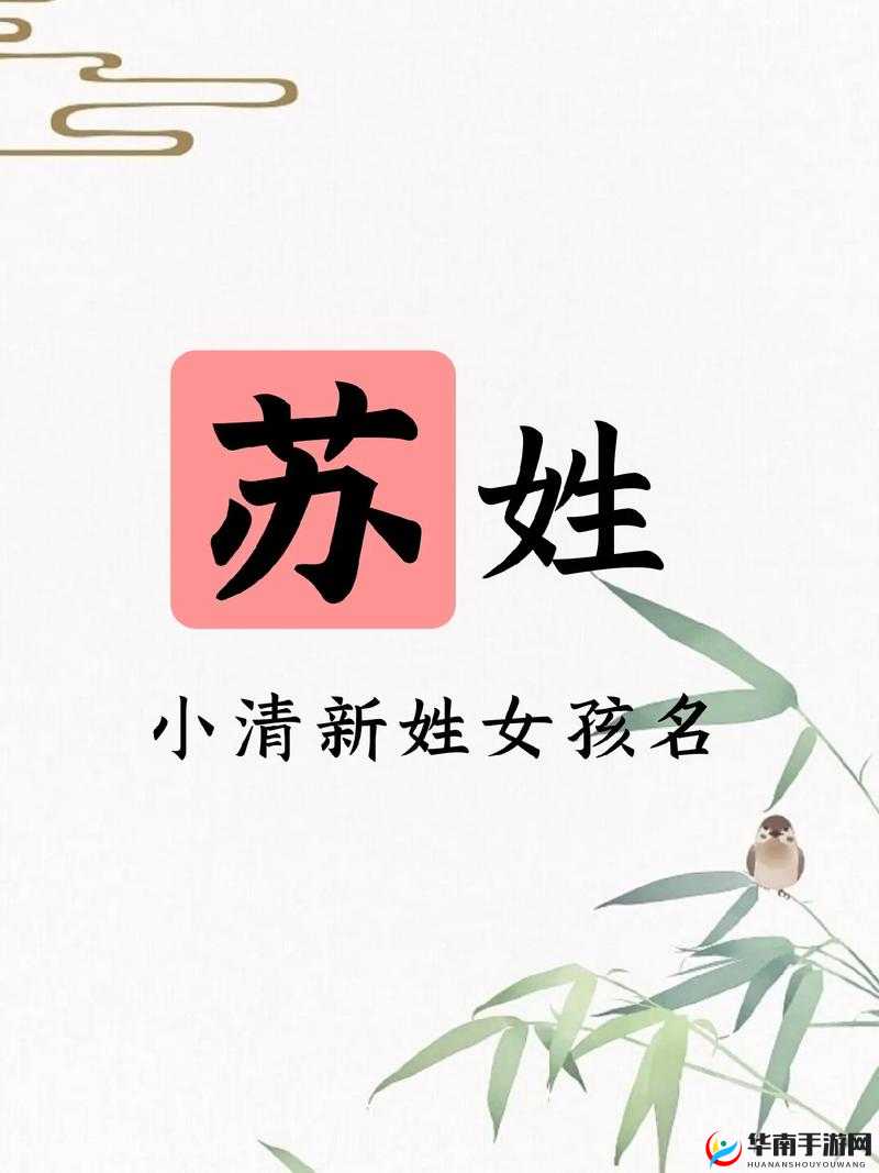 1v3 兄妹姓苏的：苏姓兄妹的奇妙故事与深厚情感