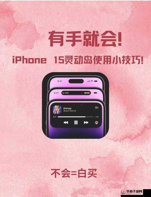 看 b 站 a8 直播,探索奇妙世界