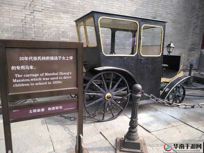 东北大坑乱全集目录无删精彩内容全览