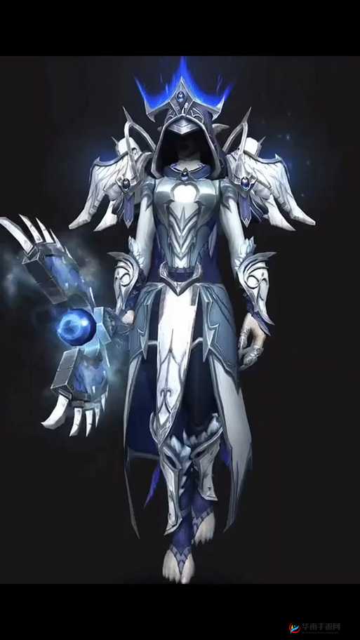 牧师，神圣之光下的守护者