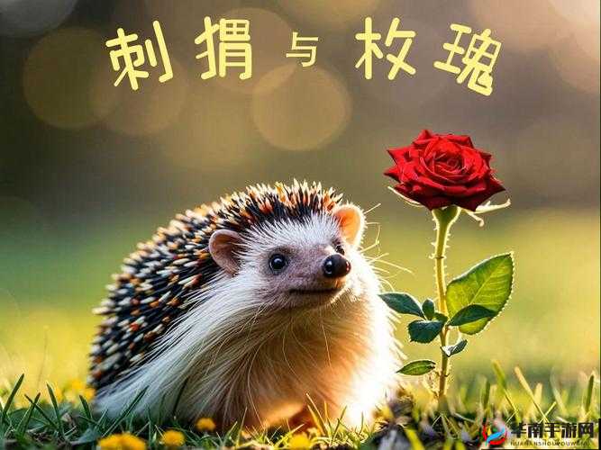 刺猬玫瑰高干：一段动人心弦的高干爱情传奇之旅
