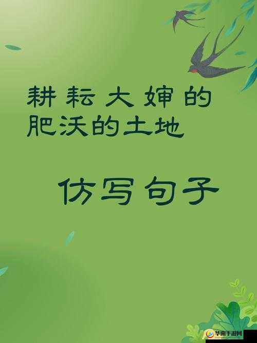 大婶的肥沃的土地有多少字:探究文化内涵与价值
