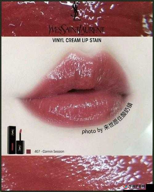 ysl 千人千色 t9t9t9t：展现独特魅力与时尚风格的美妆之选