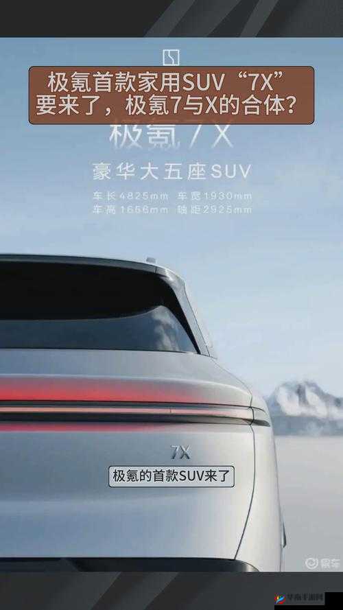 国产 X7X7X7X7X7 性价比分析：深度探究其优势与不足