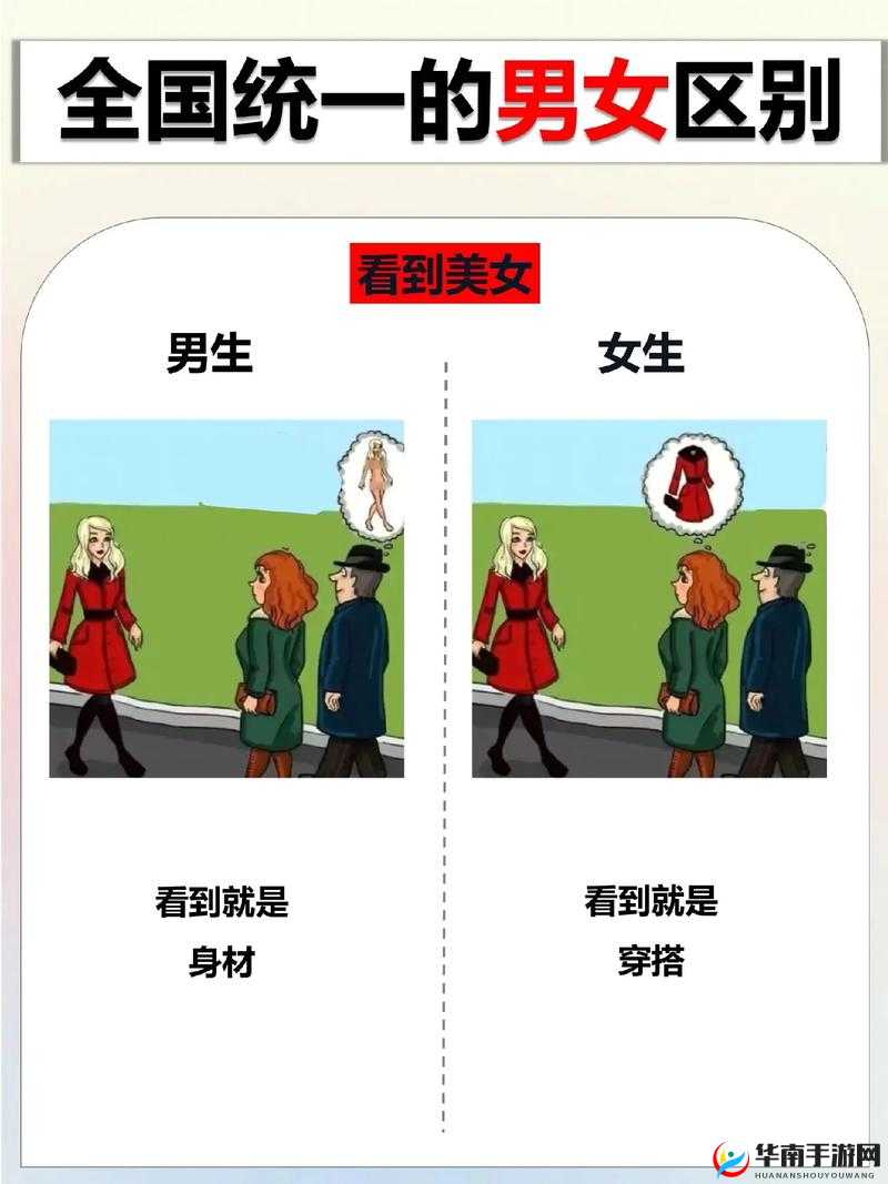 男生和女生差差：探究性别差异背后的深层原因