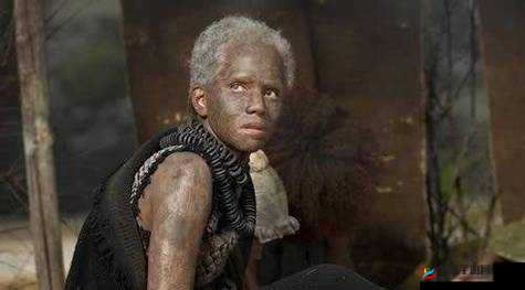 欧洲黑人与亚洲人相关内容引发的探讨与思考