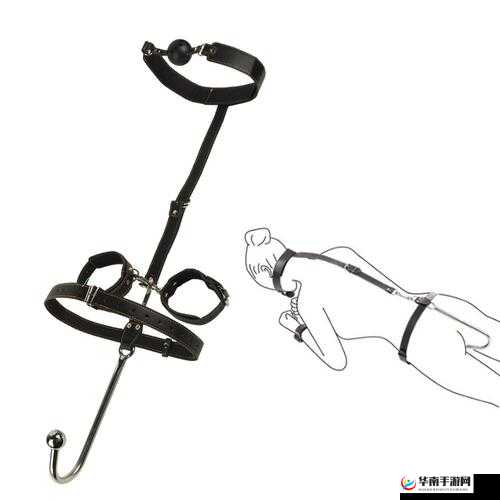 成人 性视频 SM 相关内容深度探讨及剖析