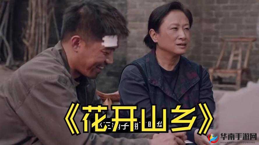 花开山乡 34 集电视剧免费播放：乡村振兴的奋斗之歌