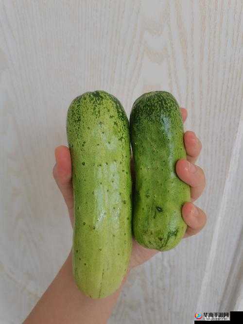 18 水蜜桃 大黄瓜勒：美味与健康的完美结合