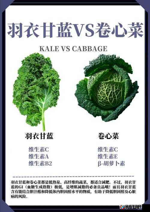 kale 是什么意思？ kale 的含义和用法