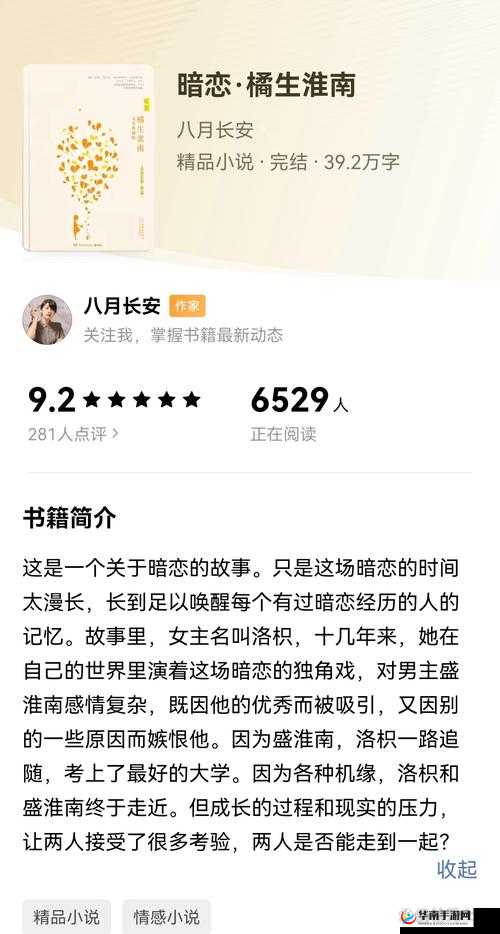 陆文婷大团圆：经典小说全文免费阅读等你来享