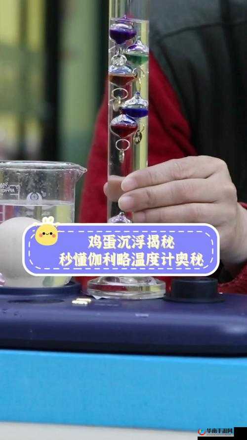 b 里可以放多少个鸡蛋图片：探寻容器与鸡蛋数量的奥秘