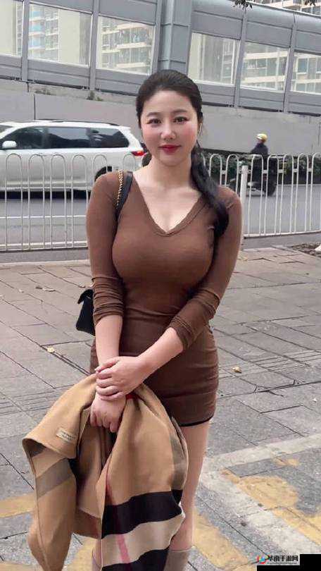 年轻漂亮少妇 6 的别样魅力与故事