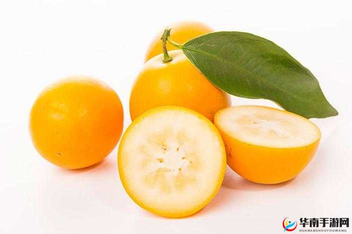 成人一区二区三区无码金桔：甜蜜多汁的美味享受