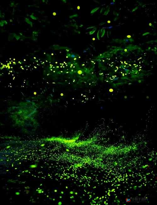 流萤被自慰喷水：一场独特的自然奇观