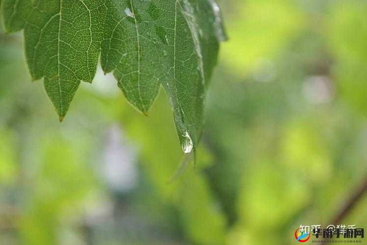 翻雨覆雨：宾馆激情后的谋杀之谜