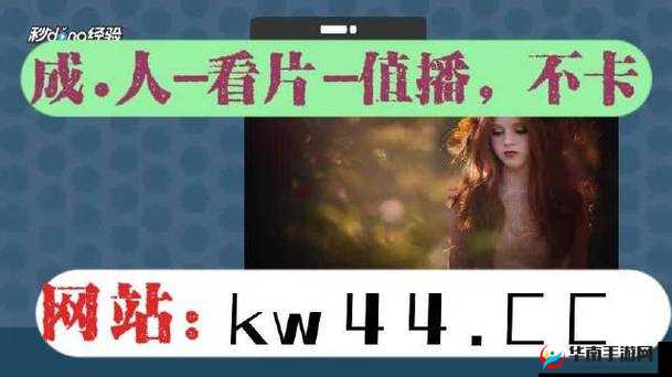 春雨app直播免费看：带你领略精彩直播的无限魅力