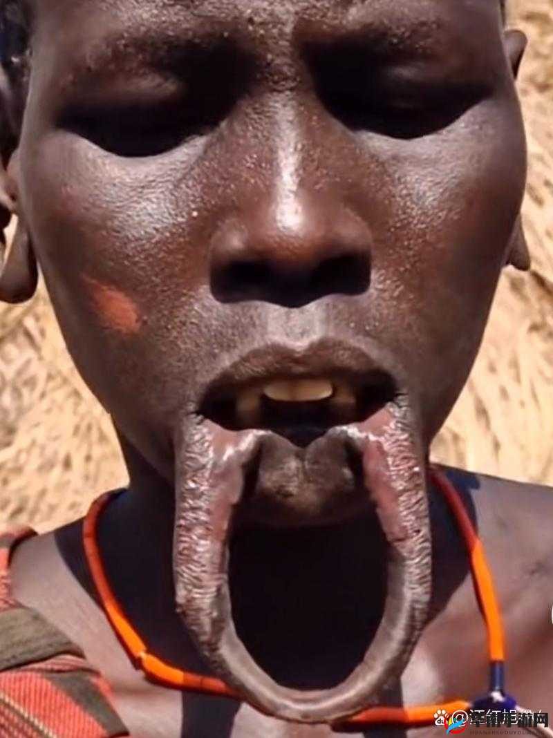 非洲又黑又大的 BBBB:神秘而独特的存在