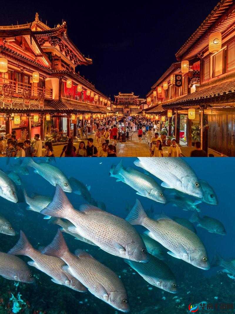 一区二区三区：探索不同区域的独特魅力与发展前景