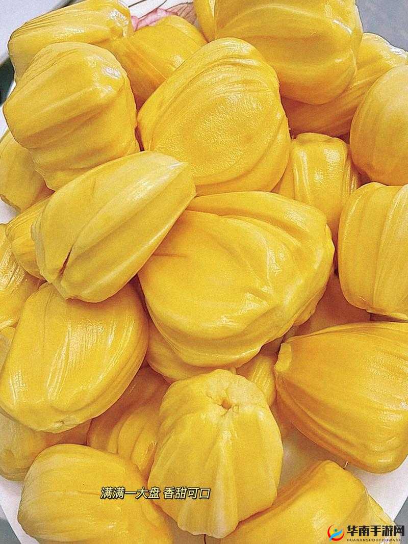 亚精产品一三三三菠萝蜜：新鲜美味令人垂涎的热带佳果