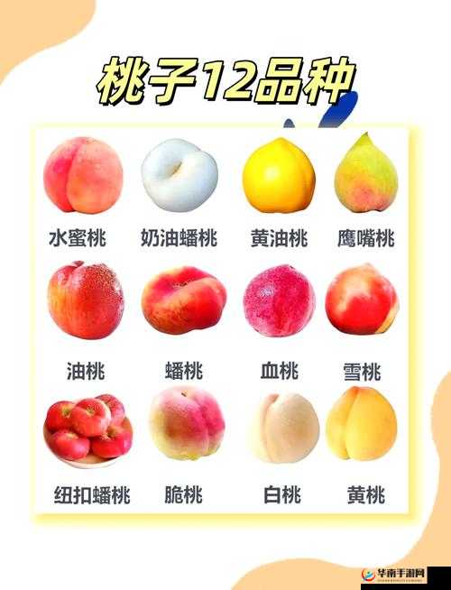 成熟的小桃子 2 之成长历程与独特魅力解析