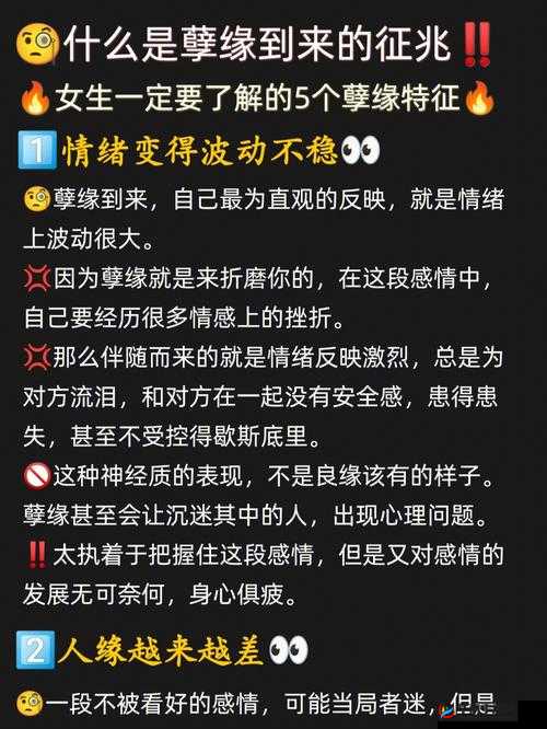 陪读之乱与性孽缘:一段揭示教育与情感迷途的故事