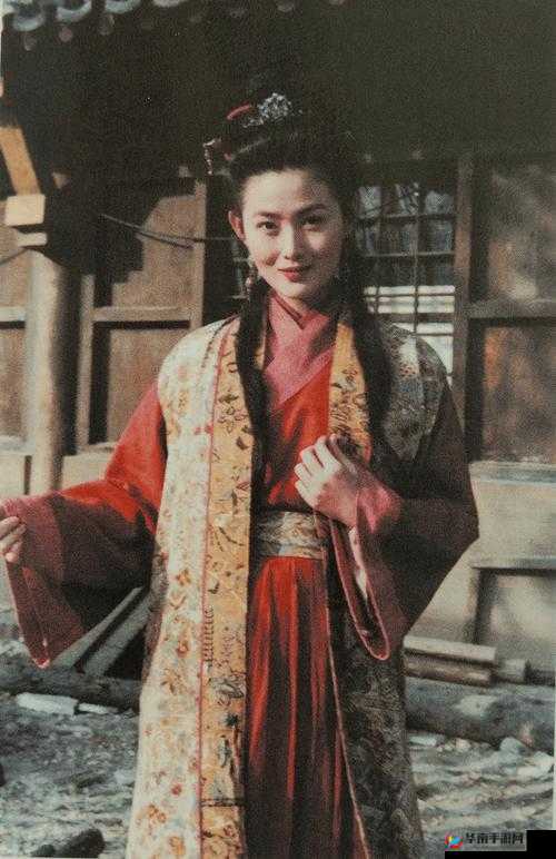 国产精品人妻熟女毛片 a 潘金莲的别样演绎与风情