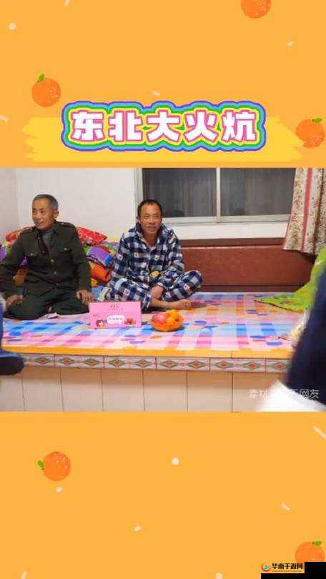 东北大炕虎子的趣味故事与欢乐日常