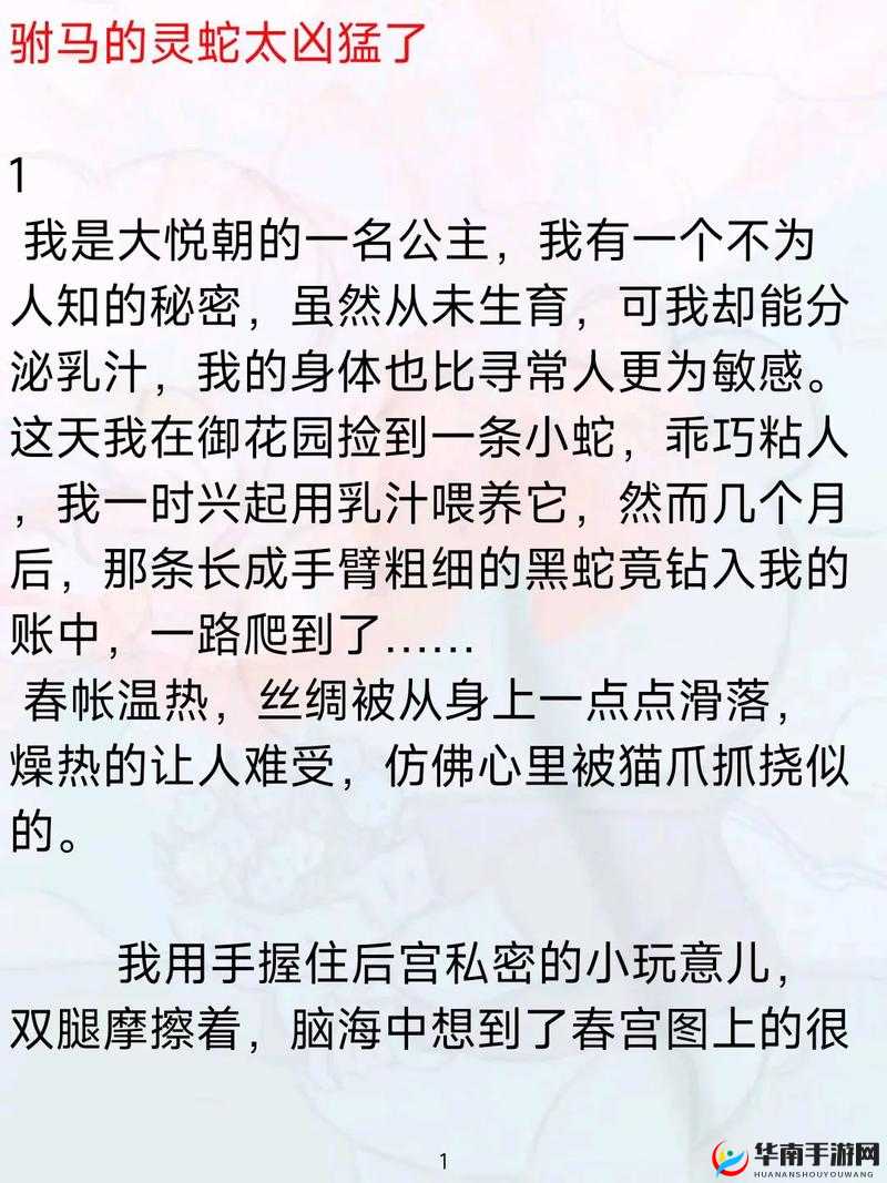 公主殿下微臣馋了玉 u 驸马姓傅：一段令人好奇的故事展开