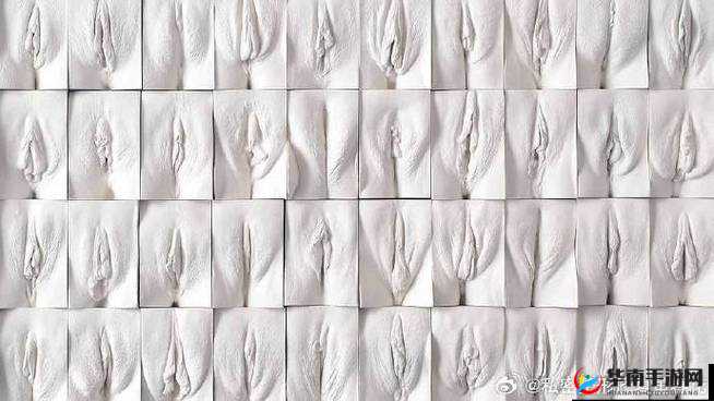 丰满多毛大隂户视频：独特的私密魅力呈现