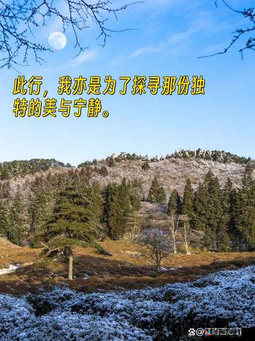 他看向他们的结合处：目光中的探寻与深意