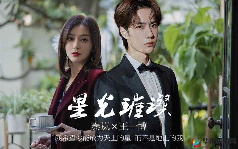 大明星(双-产-年上)：星光璀璨背后的非凡成长与魅力展现