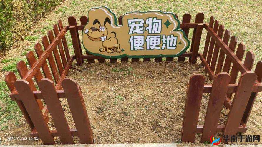 高中班级宠物移动公厕：创新校园设施带来的独特体验