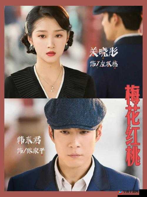 九一果冻制品厂最新电视剧红桃：一部精彩绝伦的影视作品