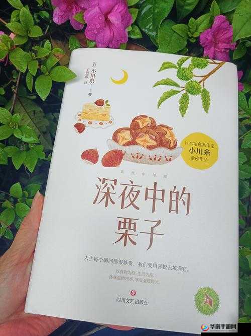 果林里的阿海小雪最经典十首诗句：领略诗意的心灵之旅