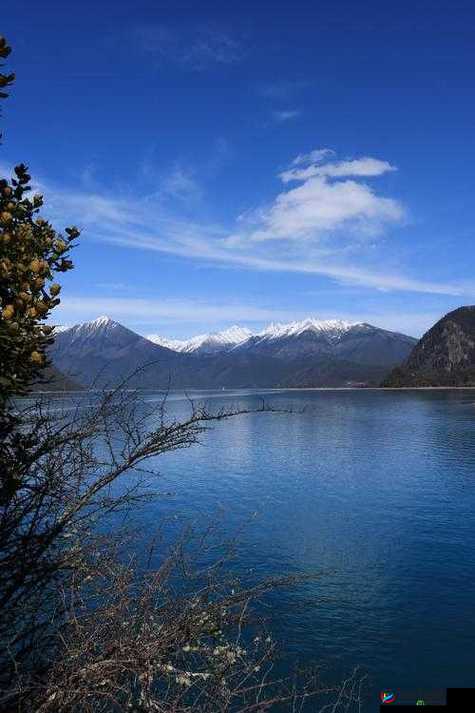 鼓蓬蓬的牦户之乐：一场人与自然的和谐共鸣