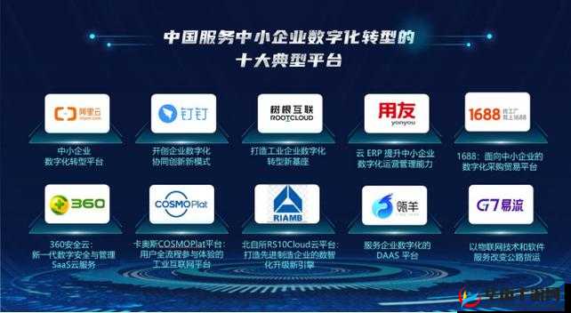 -w灬源码 1688：助力企业数字化转型的国精产品