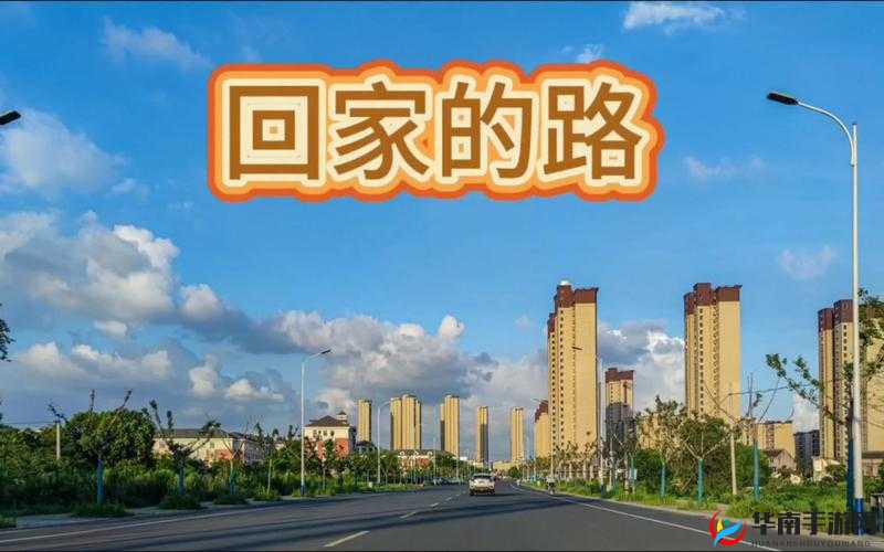 回家永不迷路的小草:2024 年的归家之旅