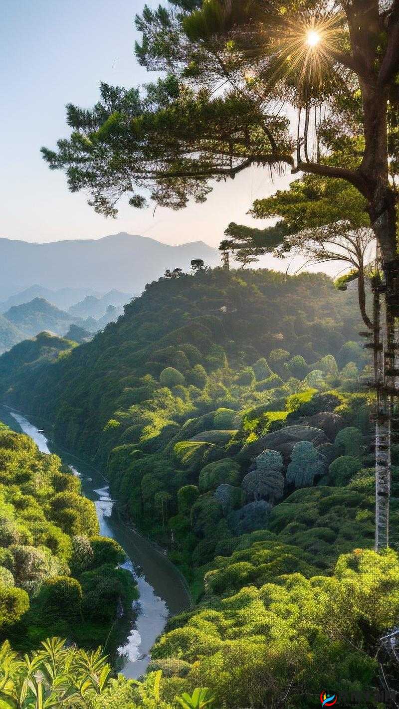让我探索你的茂盛的丛林：走进那未知的神秘世界