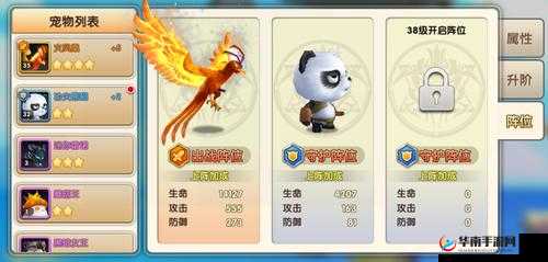 冒险王3D宠物系统玩法技巧详解