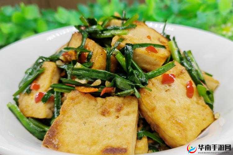 大香煮 2022 一人一煮使用方法：详细操作指南与技巧分享